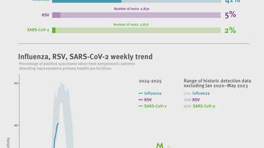 Weekly respiratory virus update, week 3, January 2025