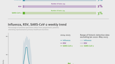 Weekly respiratory virus update, week 19, May 2025