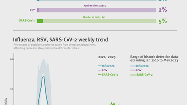 Weekly respiratory virus update, week 20, May 2025