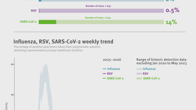 Weekly respiratory virus update, week 41, October 2025