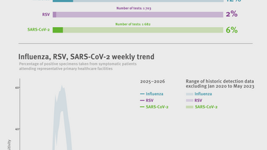 Weekly respiratory virus update, week 46, November 2025