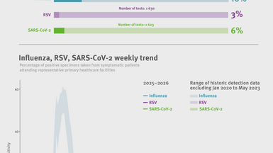 Weekly respiratory virus update, week 47, November 2025