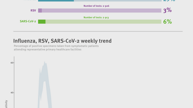 Weekly respiratory virus update, week 49, November 2025