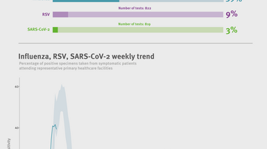 Weekly respiratory virus update, week 1, January 2026
