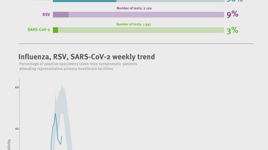 Weekly respiratory virus update, week 5, January 2026