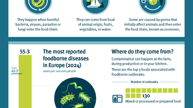 What’s really making you sick? page 1