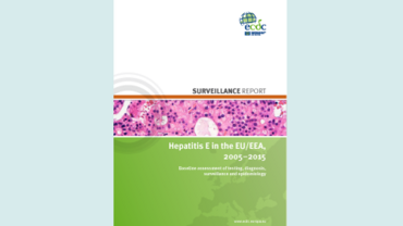 Cover of hepatitis E surveillance report
