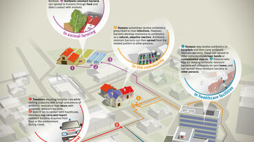 Infographic explaining how antibiotic resistance spreads