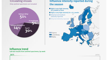 Infographic showing influenza intensity reported during the season, circulating viruses and influenza trend.