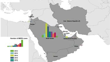 Geographical distribution of confirmed MERS-CoV cases by     country of infection and year, from April 2012 to 1 September 2020