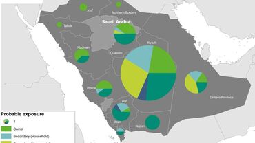 Geographical distribution of confirmed MERS-CoV cases by probable region of infection and exposure in 2019, Saudi Arabia, as of 2 December 2019