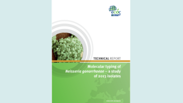 Cover of the technical report on Molecular typing of Neisseria gonorrhoeae – a study of 2013 isolates