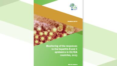 Monitoring of the responses to the hepatitis B and C epidemics in EU/EEA countries, 2023