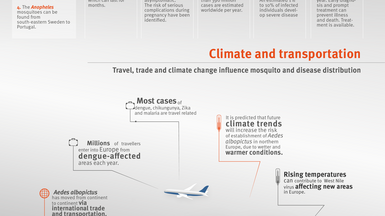 An emerging threat. Mosquito-borne diseases in Europe 