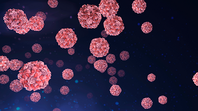 Polio virus