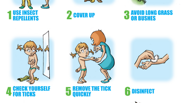 Poster on ticks and preventive measures, for children living in endemic areas​​ (Short version)