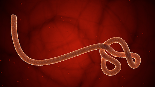 Einordnung: Ebola disease interim case definition for reporting in the EU/EEA