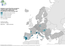 West Nile virus - outbreaks among equids and/or birds, 6 December 2023