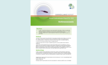 Cover of the echinococcosis AER for 2016 Thumbnail