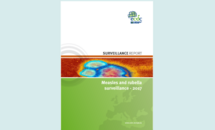 Cover of the annual measles and rubella surveillance report - 2017 Thumbnail