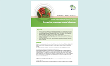 Cover for Invasive pneumococcal disease - Annual Epidemiological Report for 2016 Thumbnail