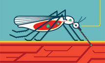 Infographic-How-is-zika-transmitted_H Thumbnail