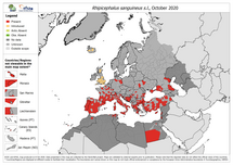 Rhipicephalus sanguineus - current known distribution: October 2020