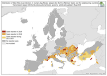 West Nile virus in Europe in 2019 - human cases compared to previous seasons, updated 8 August Thumbnail