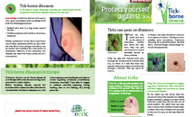 Cover of leaflet about Lyme borreliosis for the general public Thumbnail