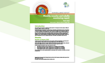 Cover of the Monthly measles and rubella monitoring report, March 2019 Thumbnail
