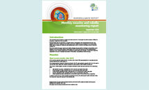 Cover of the monthly measles and rubella monitoring report Thumbnail