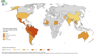 Geographical distribution of dengue cases reported worldwide, January–March 2025