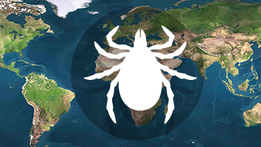 Maps-ticks_H Thumbnail