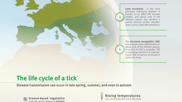 Small bites, big problems. Tick-borne diseases in Europe Thumbnail